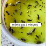 Les torchons de cuisine brillent de pureté et de blancheur. CETTE ASTUCE PEUT ÊTRE POURQUOI